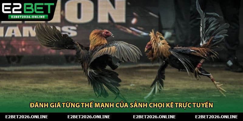 Đánh giá từng thế mạnh của sảnh chọi kê trực tuyến 